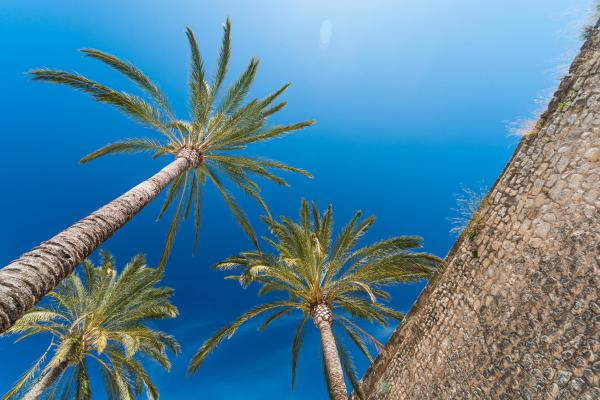 mury Palma de Mallorca